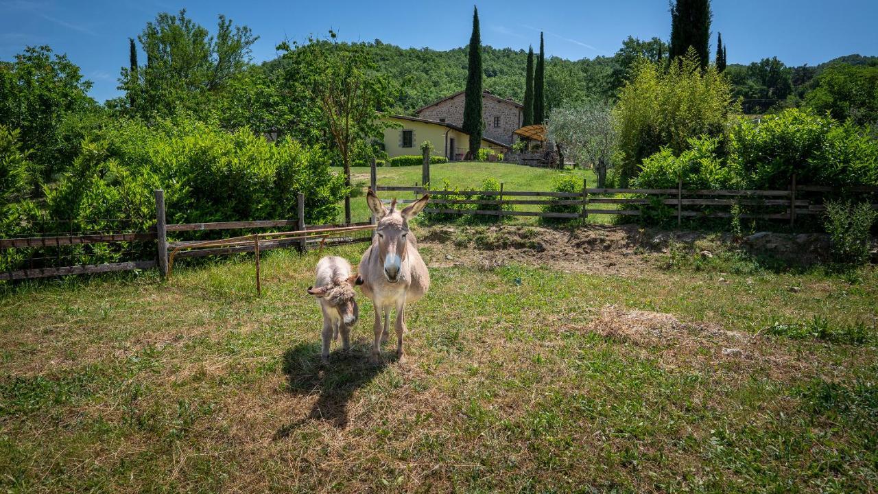 Agriturismo I Pietrini Перуджа Экстерьер фото